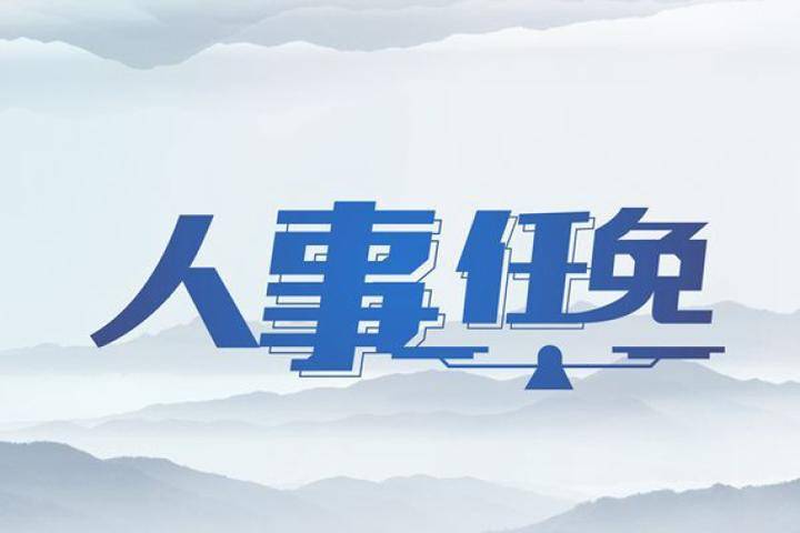 明星电力：选举陈峰为公司董事长