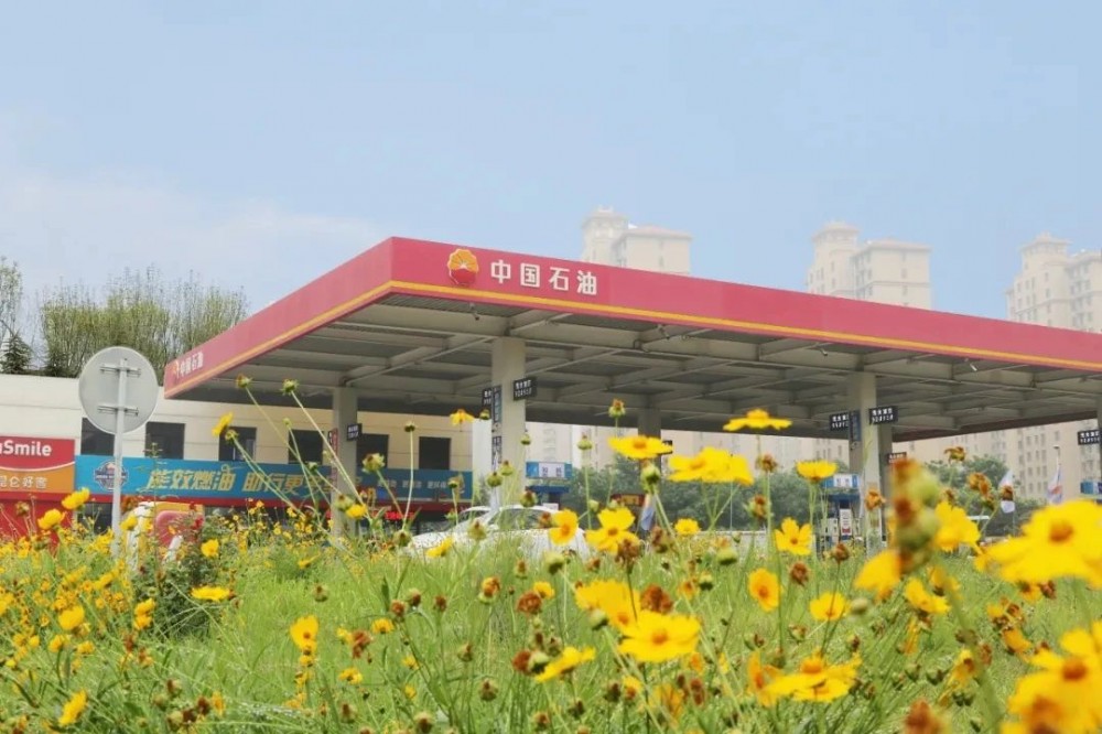 习近平总书记山东考察重要讲话引发百万石油员工热烈反响！