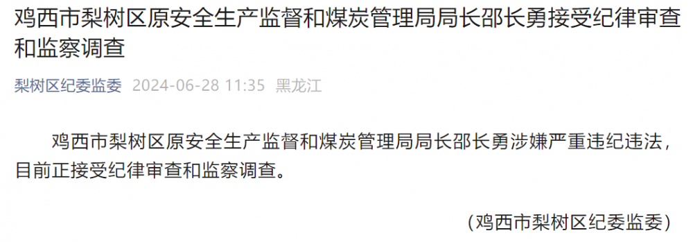 黑龙江梨树区原安全生产监督和煤炭管理局局长邵长勇被查