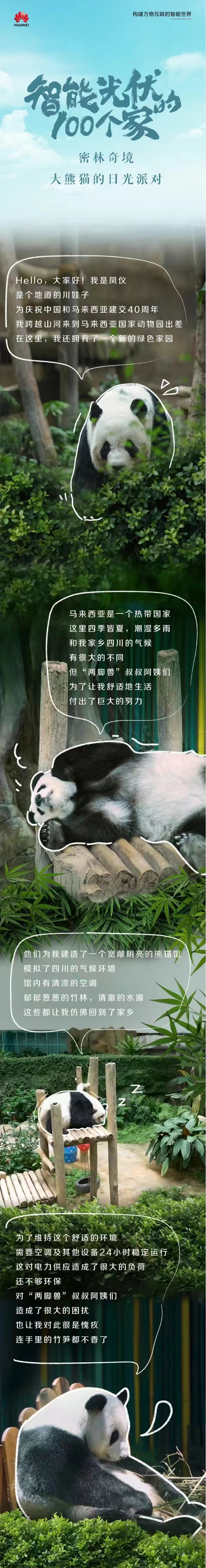 在这里，熊猫宝宝city得很～
