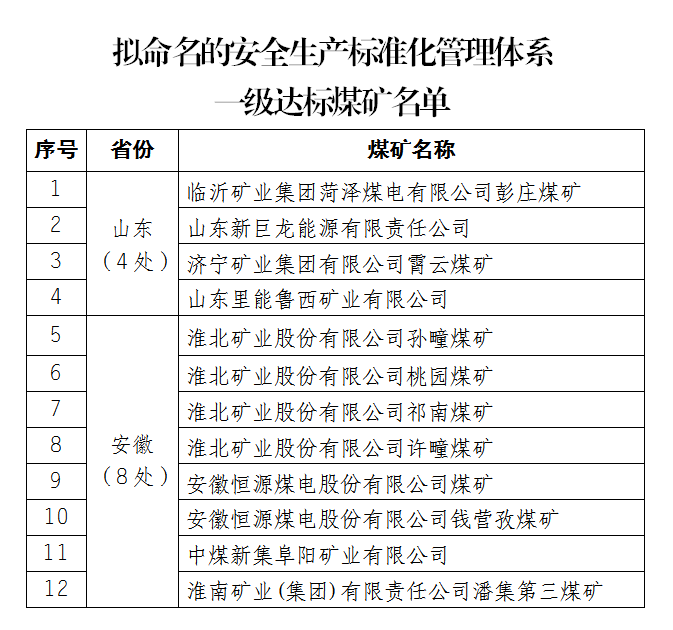 国家煤矿安全监察局12处煤矿达到安全生产标准化管理体系一级标准