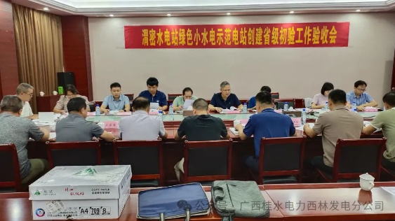 渭密水电站绿色小水电示范创建顺利通过省级初验