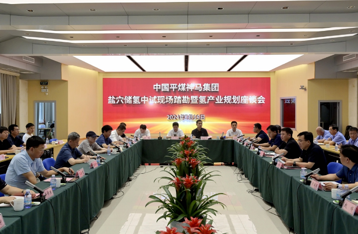 平煤神马集团总经理李延河：盐穴储氢必将成为潜力巨大的风口产业