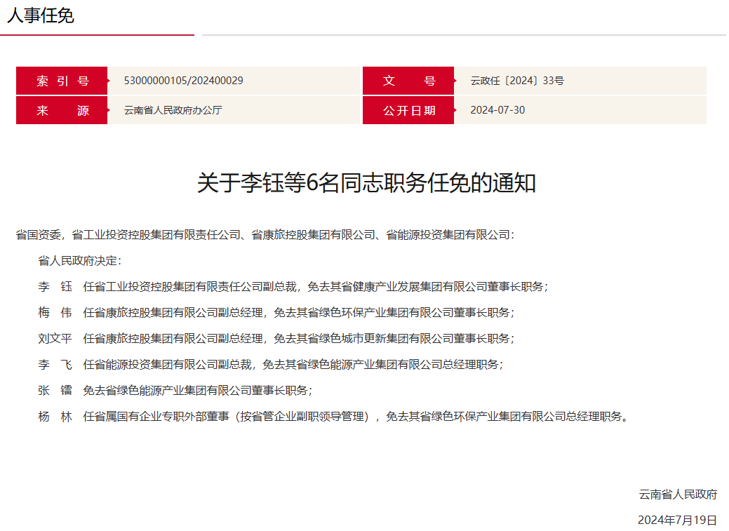 云南省能源投资集团副总裁任职