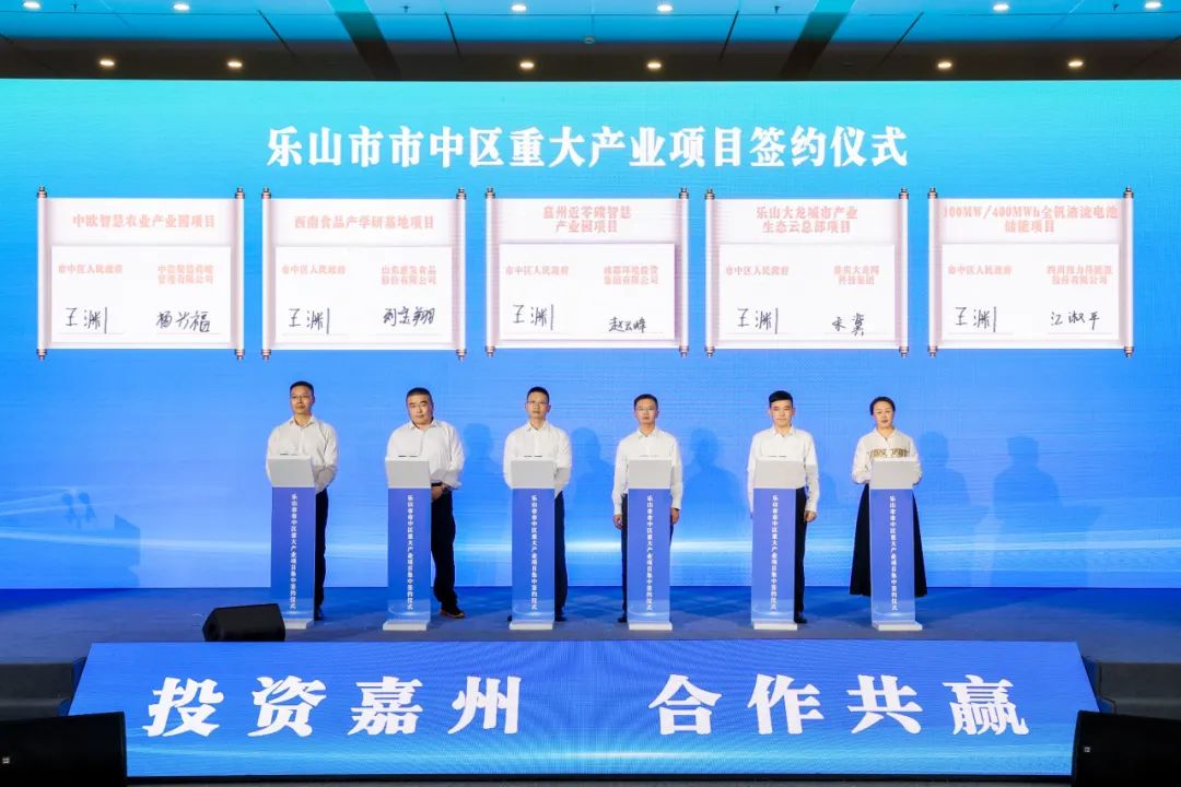 伟力得100MW/400MWh全钒液流电池储能示范电站项目成功签约落户乐山市市中区