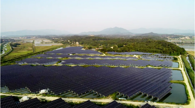 京能国际广东肇庆四会区下茆300MW渔光互补项目全容量并网发电
