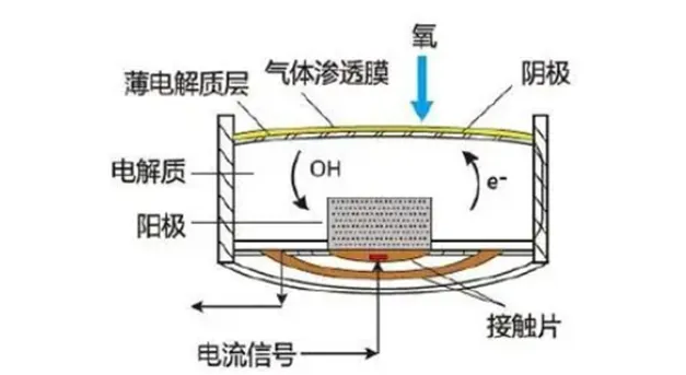 涉氢试验室监护卫士—氧气监测仪
