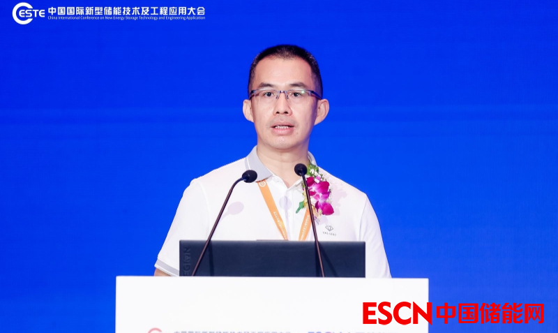 中国化学与物理电源行业协会储能应用分会副秘书长
