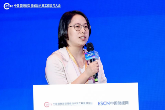 CESTE2024||华南理工电力学院副教授谢敏：电力市场和储能型可调节负荷需要双向奔赴