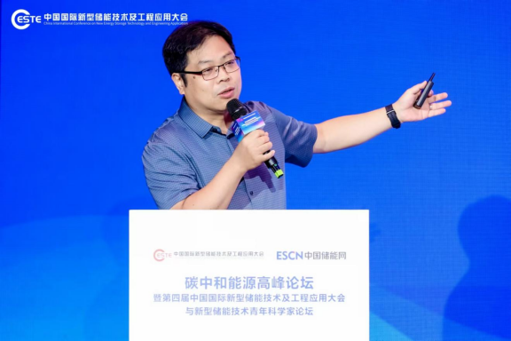 CESTE2024||东南大学电力经济技术研究所所长高赐威：虚拟电厂是售电公司的天然延展