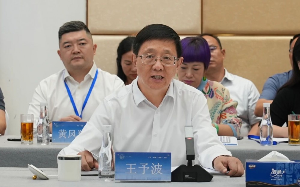 云南省省长王予波与鹏飞集团董事局主席郑鹏在京座谈