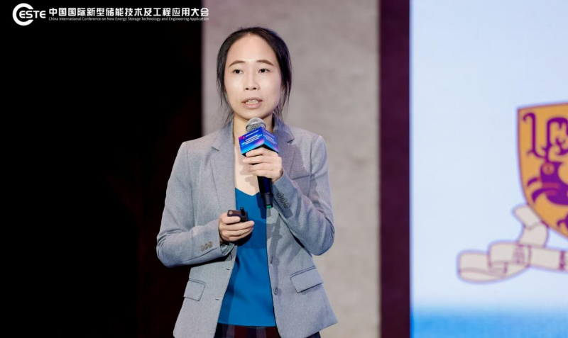 CESTE2024 | 易池新能董事长卢怡君：以改性膜替代商用膜，实现硫基液流电池在储能应用领域的突破