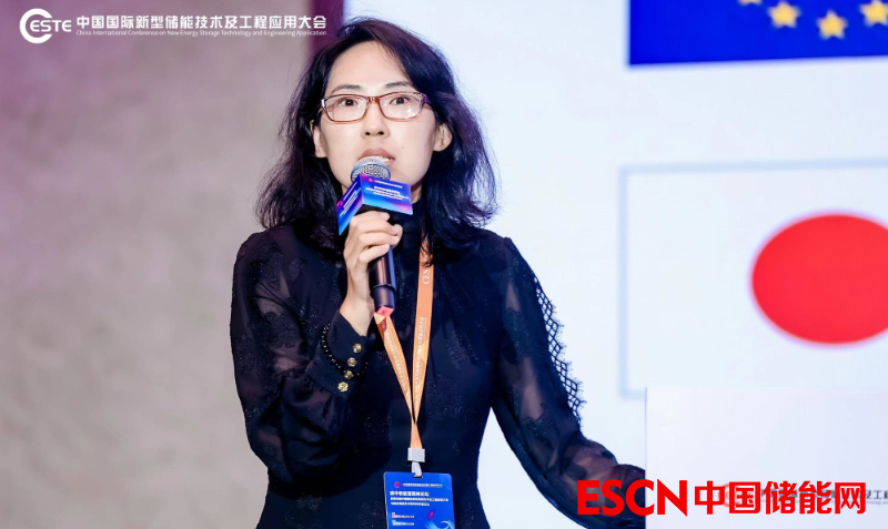 CESTE2024|| 国网能研院李娜娜：微电网发展有关问题的思考