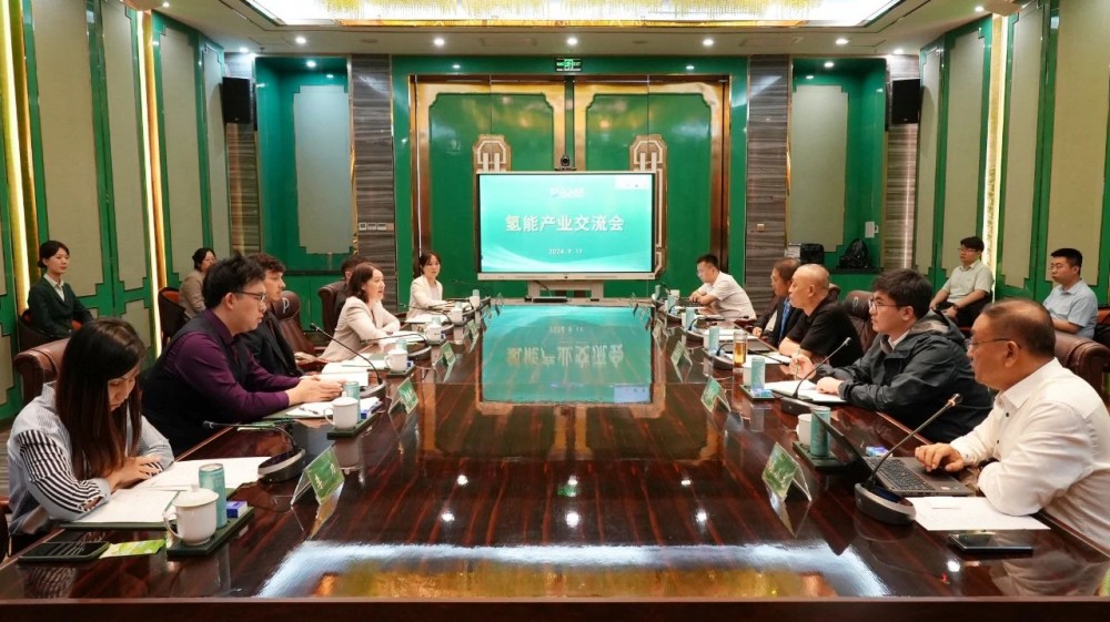 英国驻华大使馆参赞贺蕊一行近距离感受鹏飞氢能应用场景