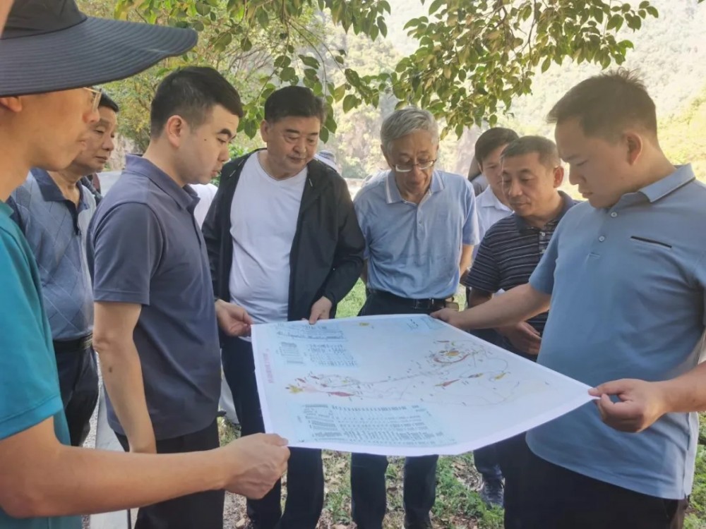 陕西山阳抽水蓄能电站施工总进度计划及招标设计报告通过审查