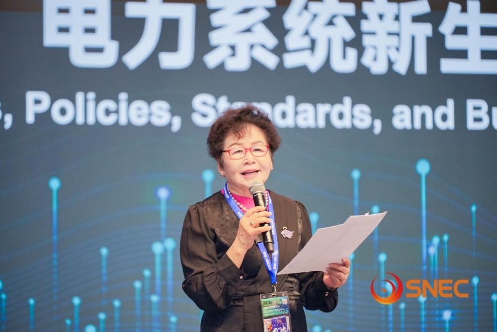 电力系统“源网荷储氢”新生态国际高峰论坛成功举行