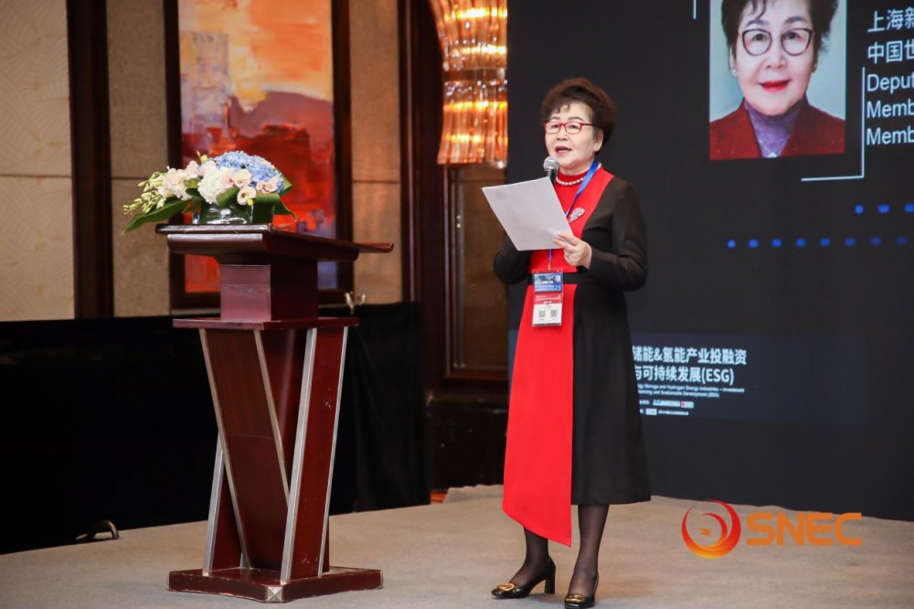 储能.氢能产业投融资与可持续发展会议成功举行！