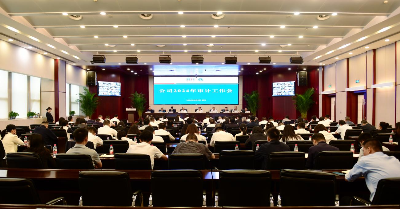 中国能建葛洲坝集团召开2024年审计工作会