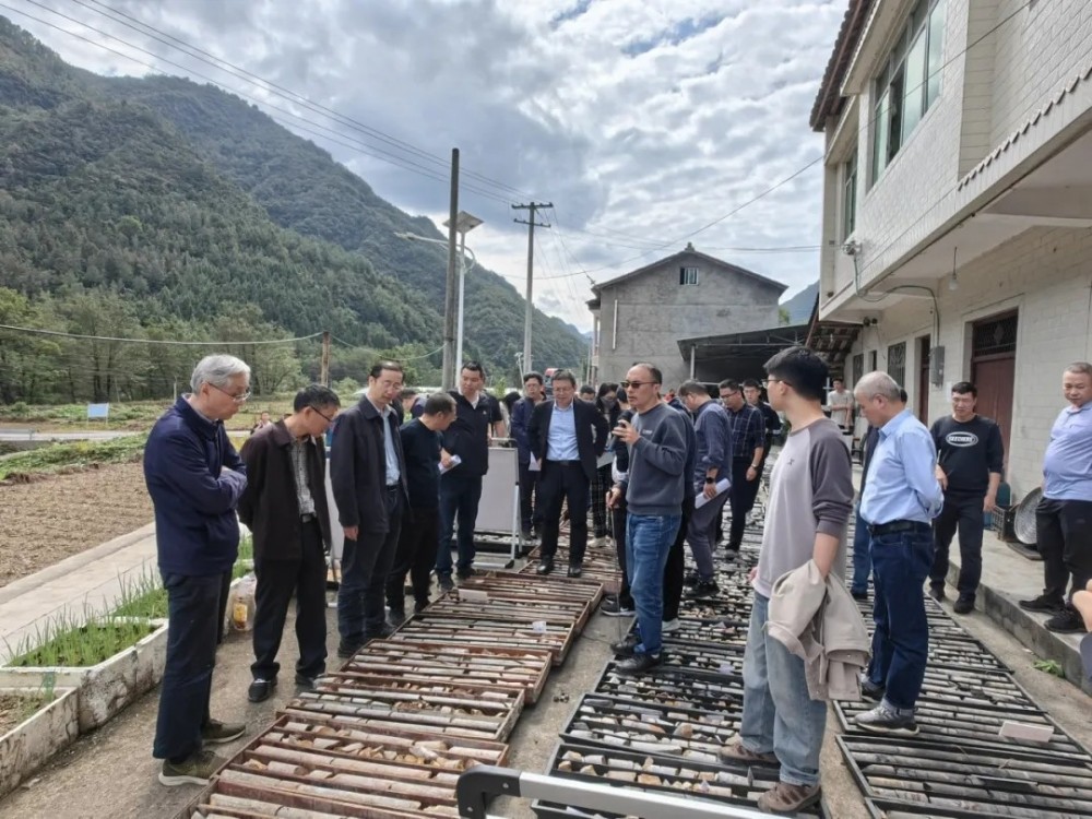 四川江油抽水蓄能电站可行性研究报告通过三峡集团内部审查
