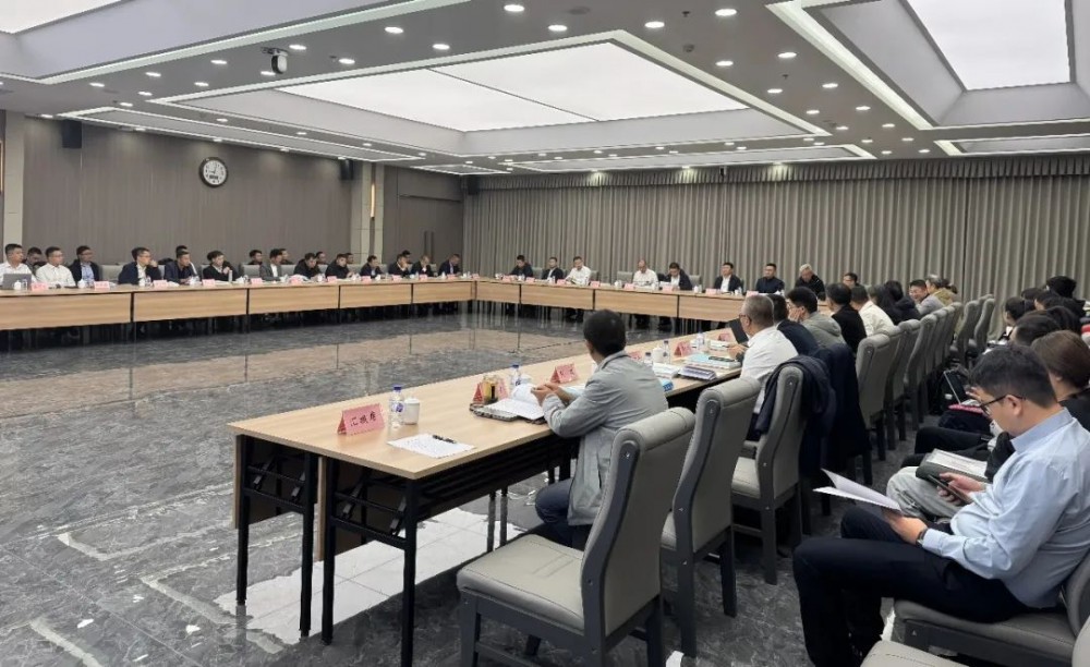 吉林省洮南市压缩空气储能示范项目顺利通过可研评审