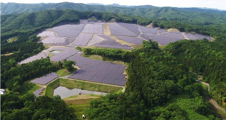Vena Energy 53 MW Kasama 太阳能项目开始运营