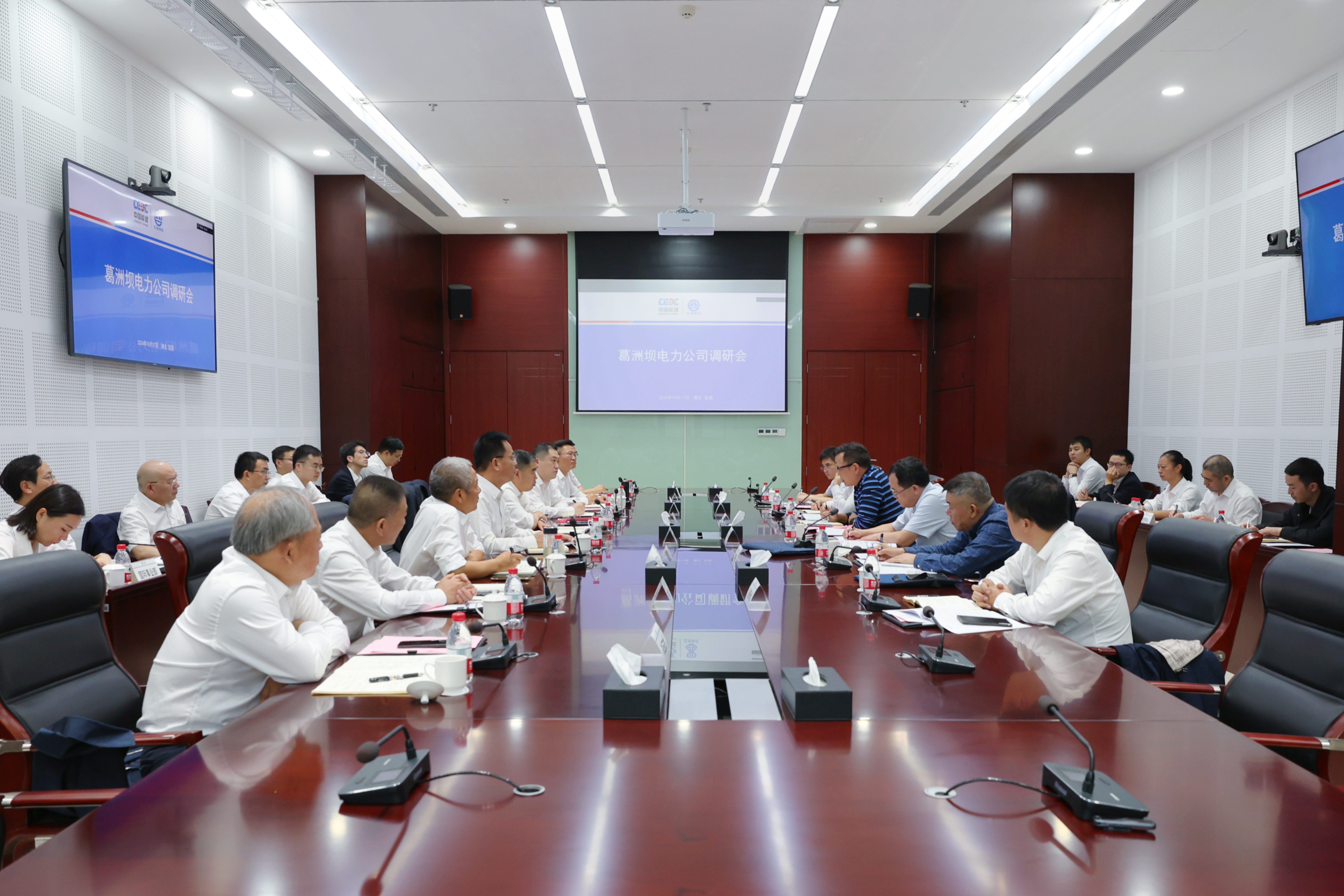 陈刚赴电力公司调研