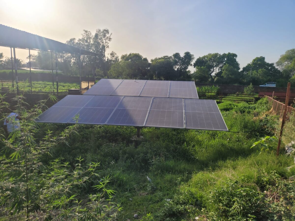 KLK Ventures 在查谟和克什米尔地区安装 1,300 台太阳能水泵