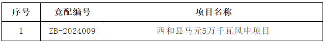 陇南市“十四五”第三批新能源项目竞争性配置补充公告