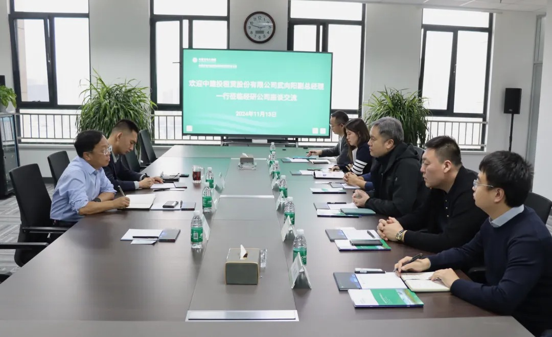 以专业咨询服务，赋能中建投租赁新型储能电站投资工作