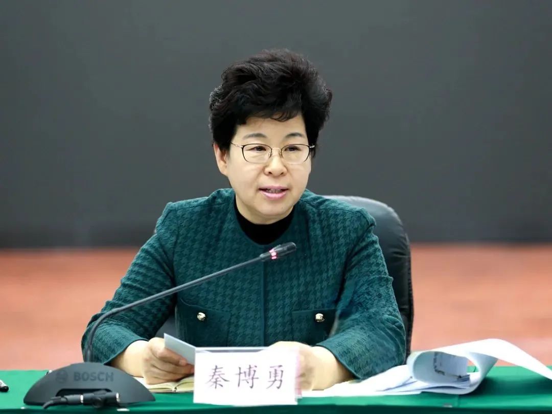 高纪凡受邀参加民建中央专题调研座谈会，建言“新三样”产业提升国际优势地位