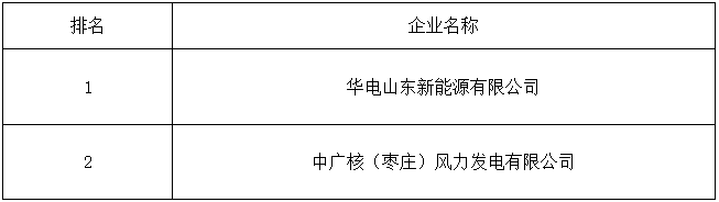 山东山亭区“驭风行动”100MW项目：华电、中广核中选