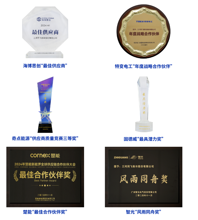 同飞股份2024年度荣誉——新能源储能领域