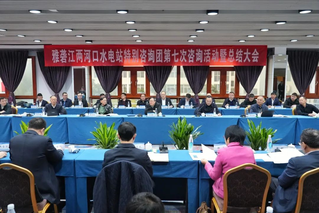 陈刚应邀出席两河口水电站特咨团第七次咨询活动暨总结大会