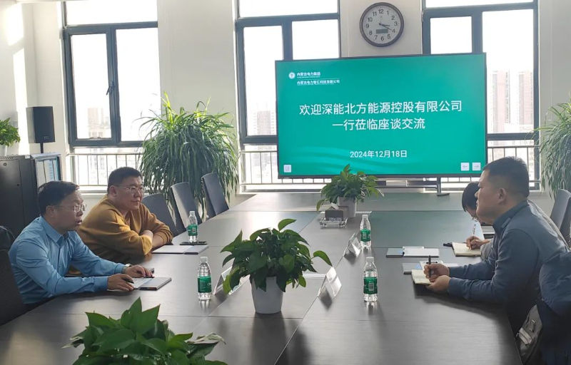 蒙电智汇科技以专业技术咨询服务助力深能北控储能战略布局