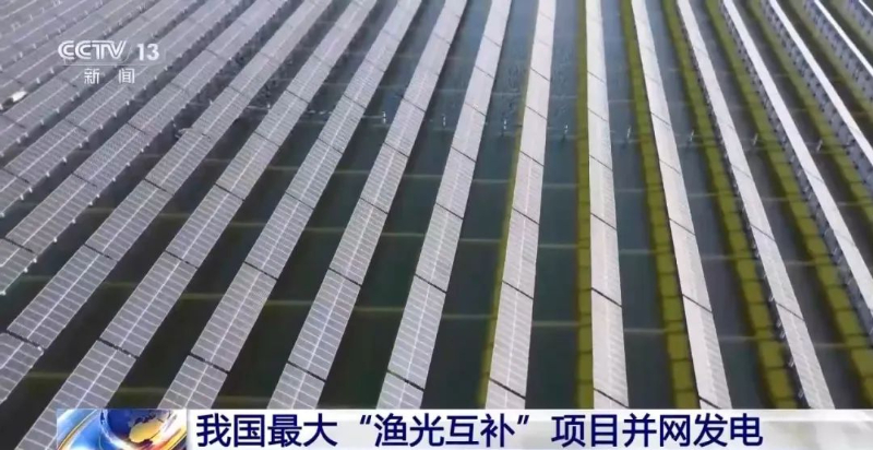 我国最大“渔光互补”项目并网发电