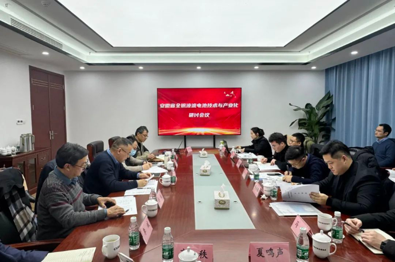 推动新型储能产业高质量发展！安徽省全钒液流电池技术与产业化研讨会在海螺洁能召开