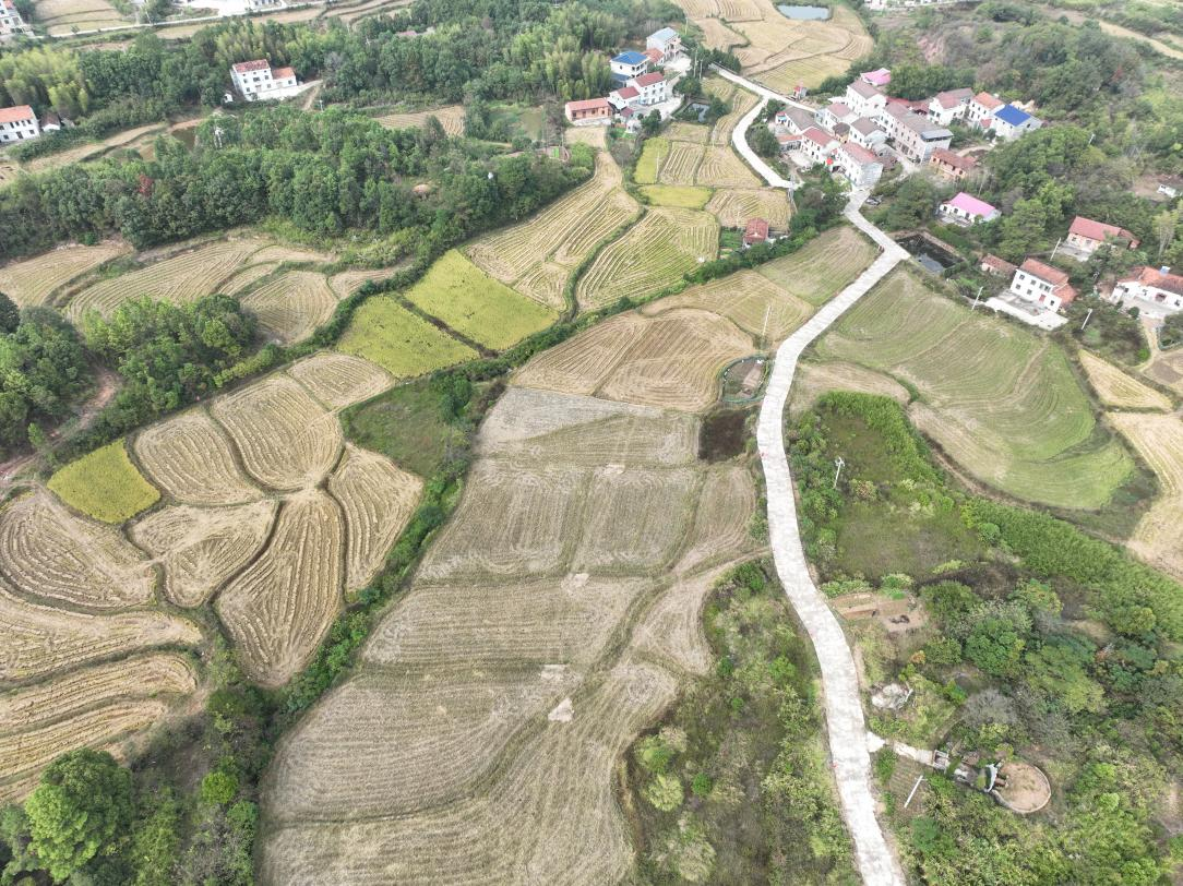 中国能建葛洲坝生态环保公司中标湖南岳阳市岳阳县高标准农田建设项目
