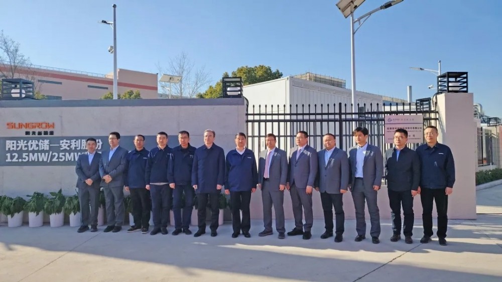 国际领先！安利股份携手阳光新能源共建的先进储能电站举行建成仪式