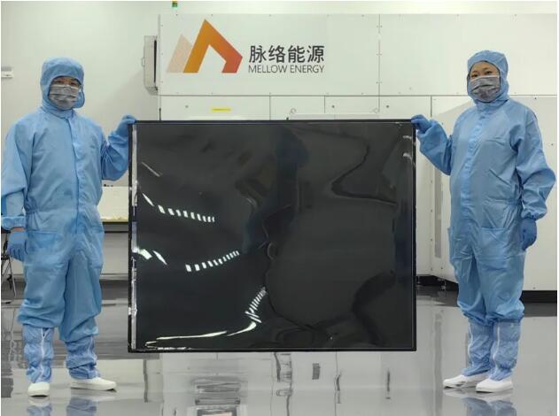 全球最大（1.2×1.6平米）一体化成型柔性钙钛矿光伏组件在脉络能源下线