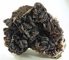 Evolution Energy Minerals 在坦桑尼亚 Chikundo 矿区发现大规模 VHMS 铜铅锌系统