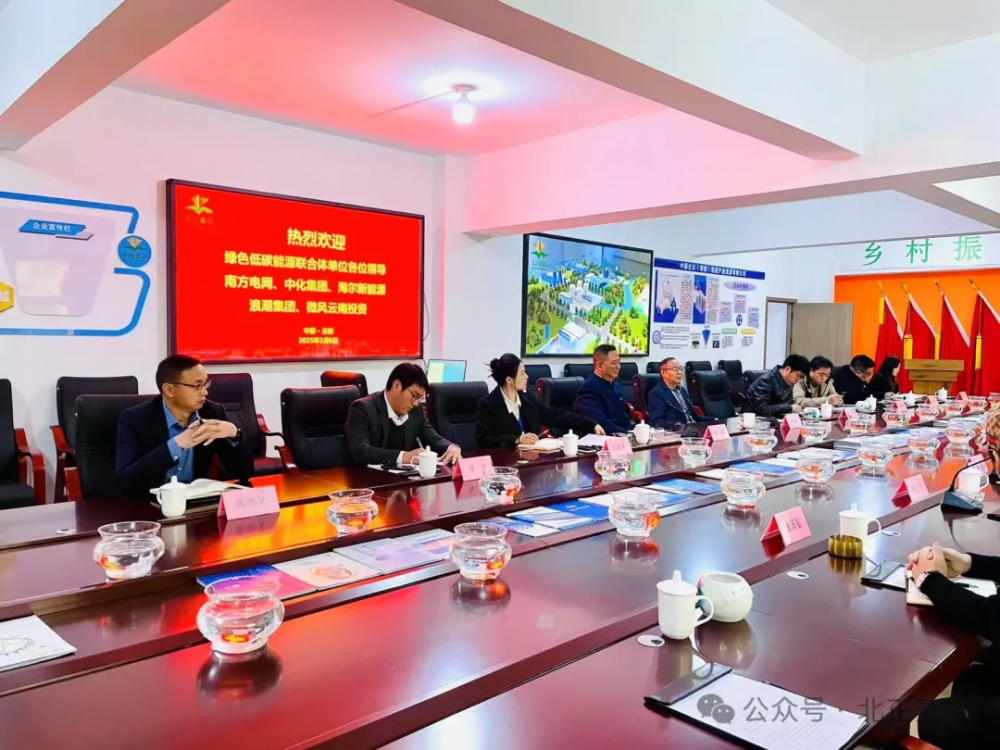 新能源项目洽谈会：共筑绿色能源新未来