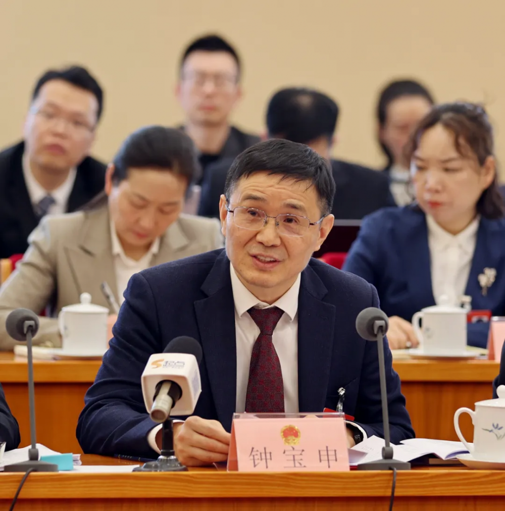 全国人大代表钟宝申：政策技术及应用三位一体，让中国绿氢绿醇跑出“加速度”