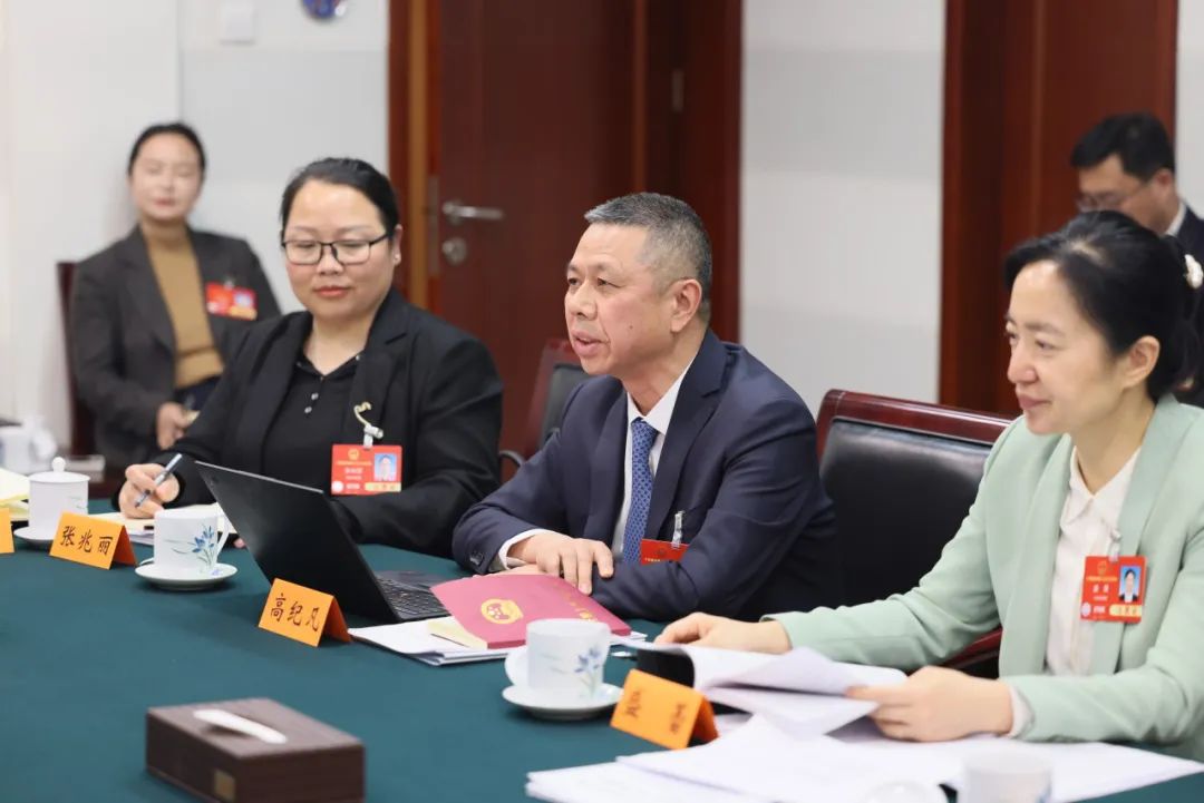 高纪凡两会建言：进一步加强和发挥新型储能在新型电力系统中的作用