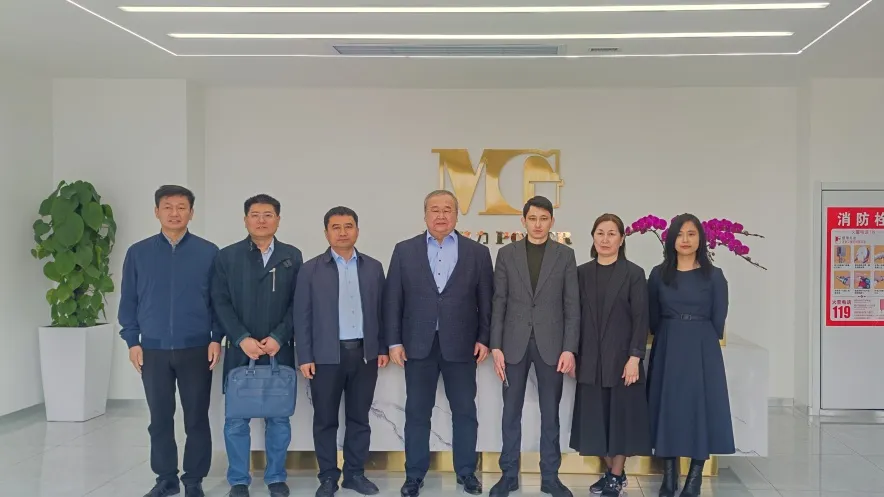 国际携手谋新篇：哈萨克斯坦外宾访上海镁源动力