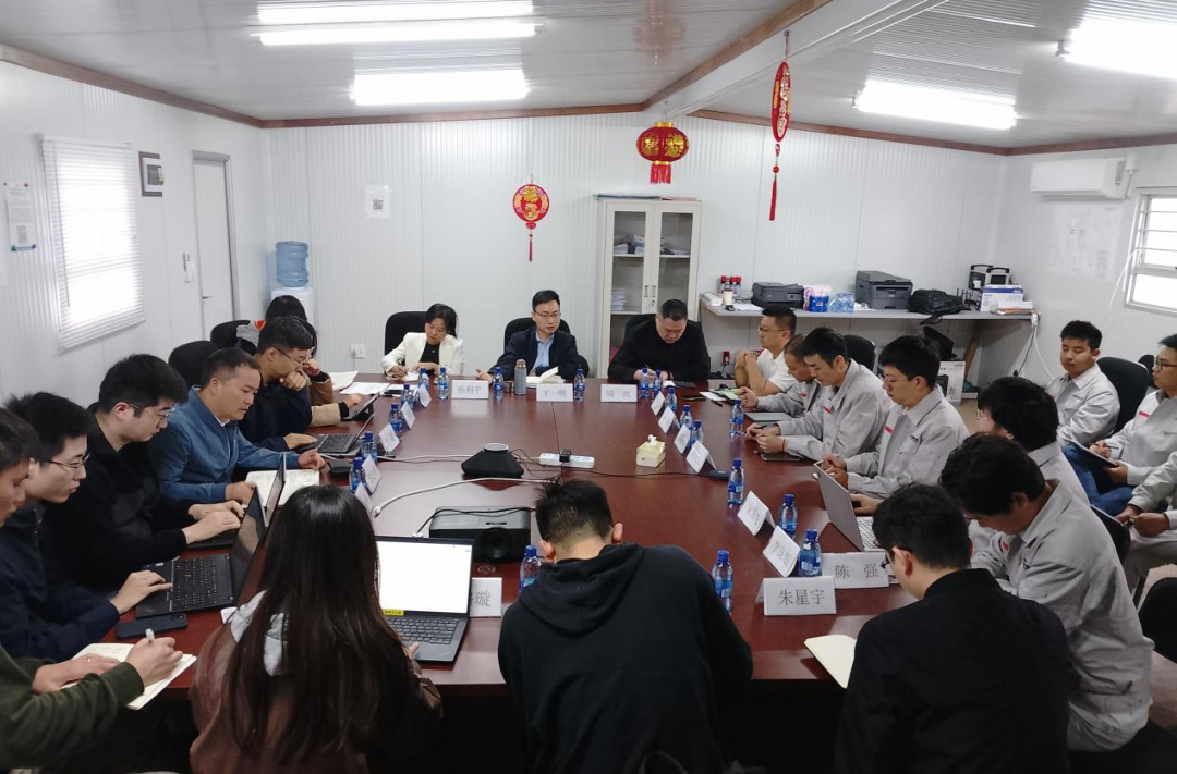 中国能建国际集团党委常委、副总经理王一明赴南非、坦桑尼亚调研