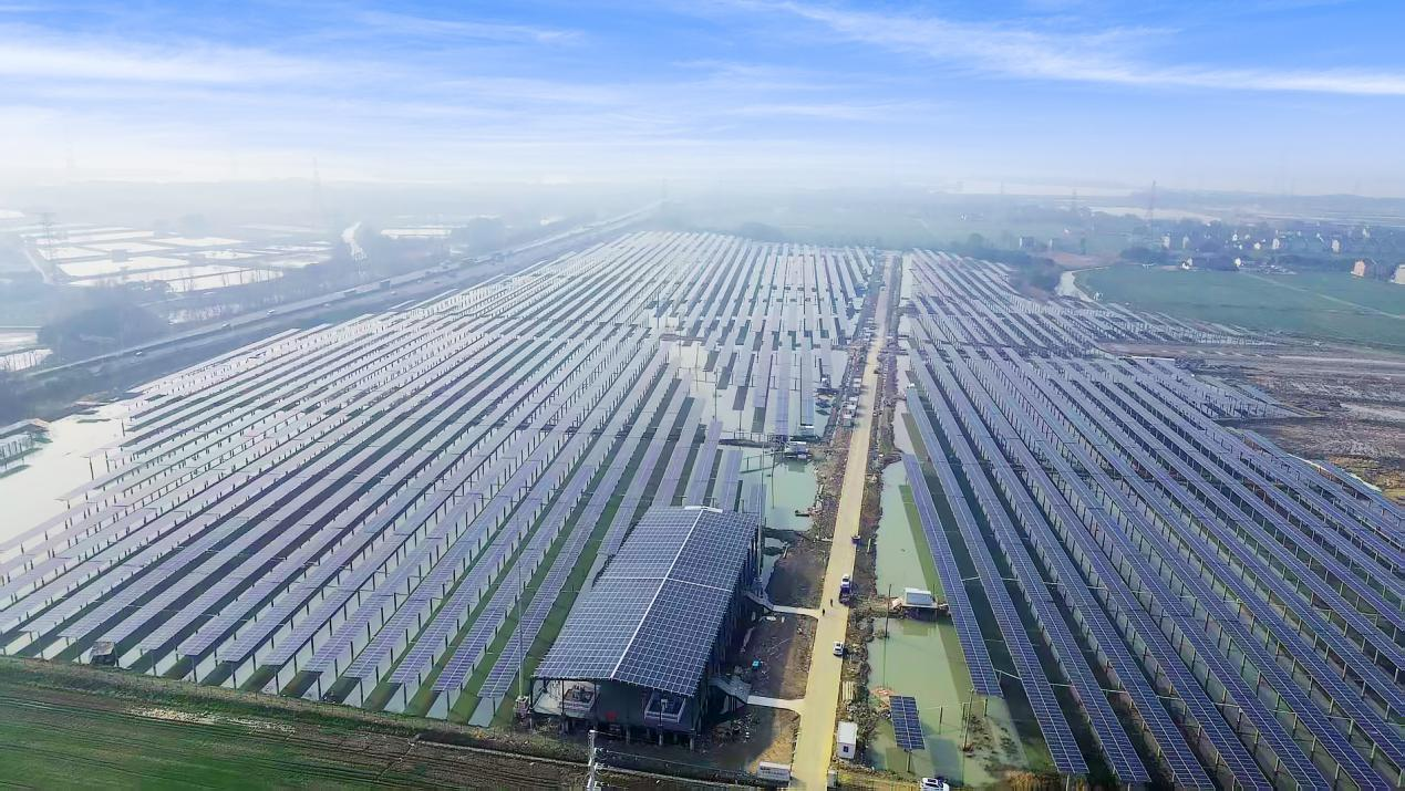 苏州最大规模渔光互补项目并网，普洛斯新能源发电能力持续扩张
