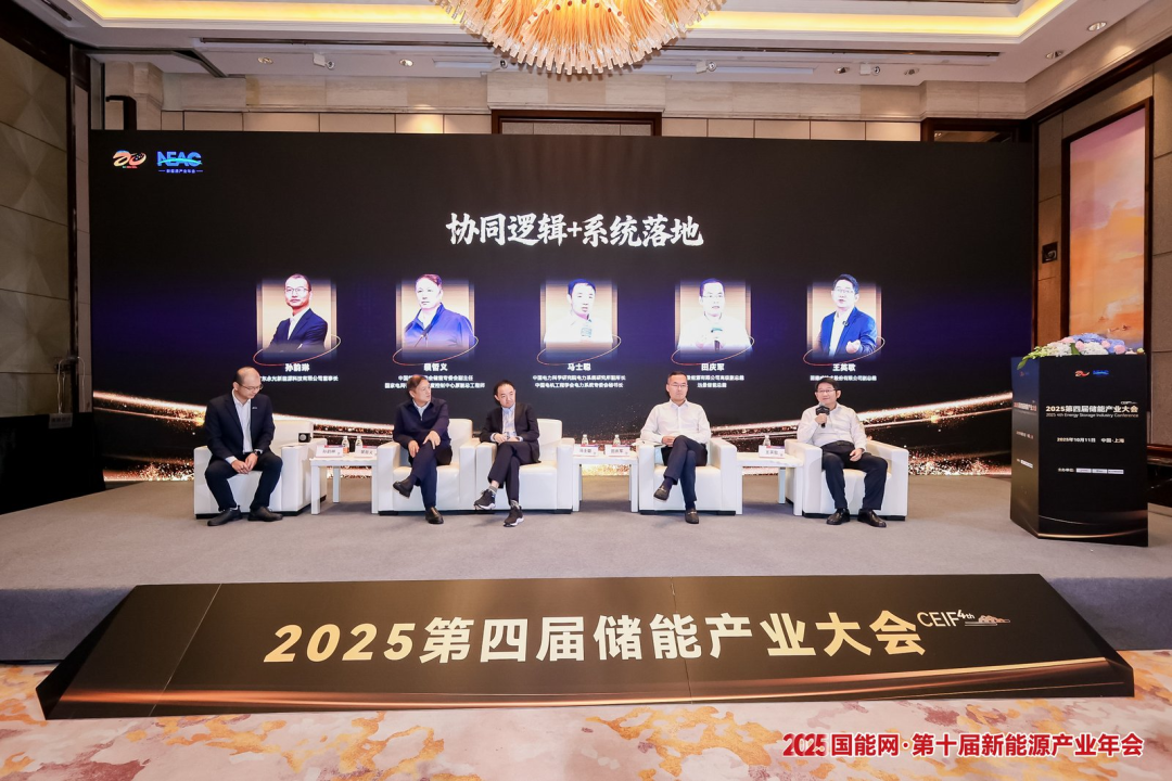 领袖对话：源网荷储智的协同破局与未来图景