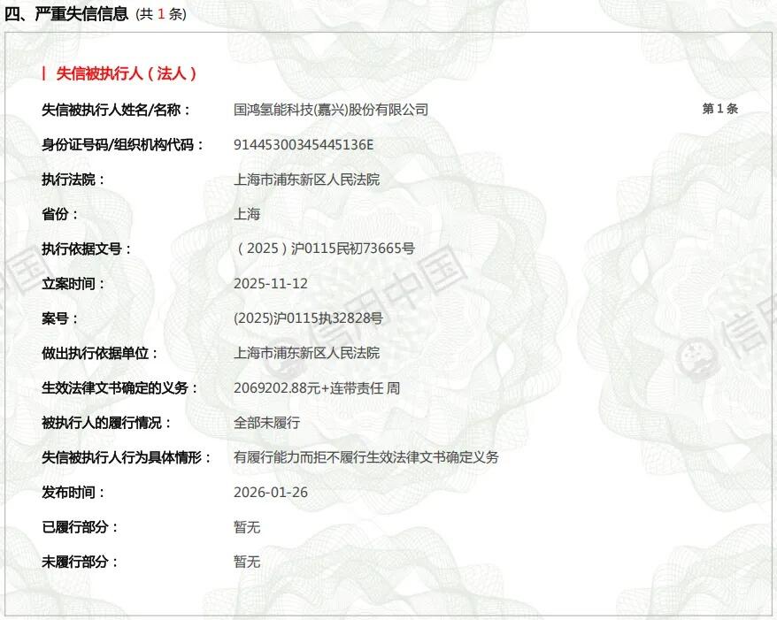 突发！国鸿氢能被列入失信被执行人，限制高消费