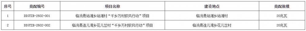40MW！甘肃临洮县启动“驭风行动”项目竞配