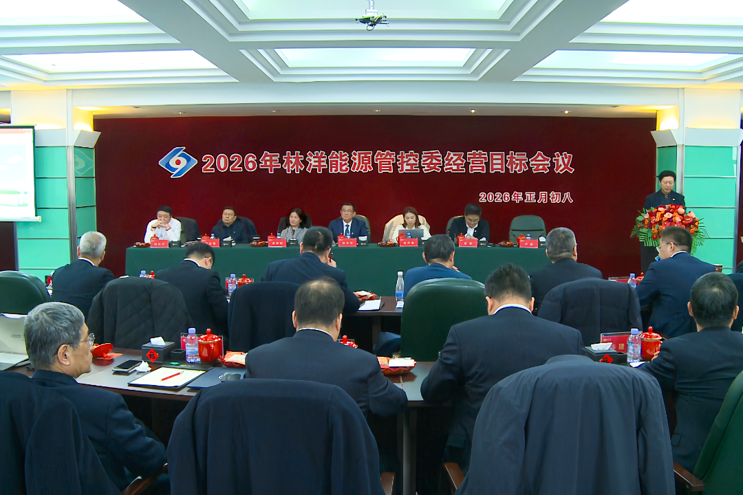 开局即决战，起步即冲刺！林洋能源锚定2026经营目标，凝聚全球化高质量发展强劲合力！